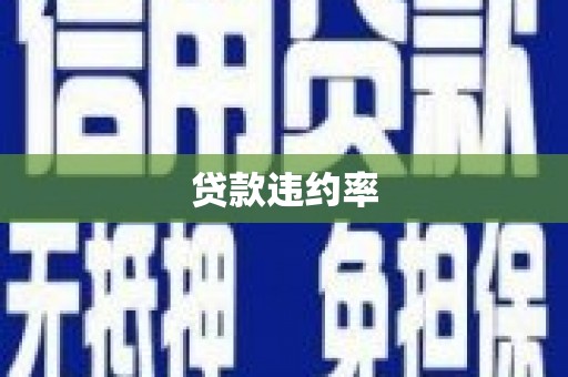 花山贷款违约率