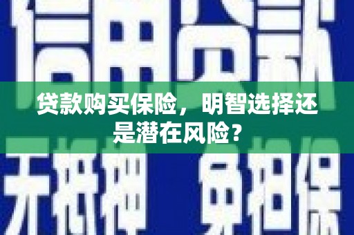 花山贷款购买保险，明智选择还是潜在风险？