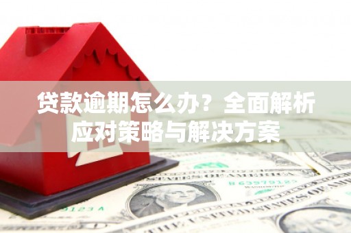 花山贷款逾期怎么办？全面解析应对策略与解决方案