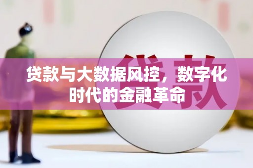 花山贷款与大数据风控，数字化时代的金融革命