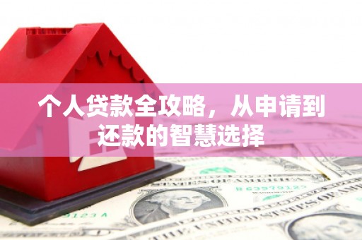 花山个人贷款全攻略，从申请到还款的智慧选择