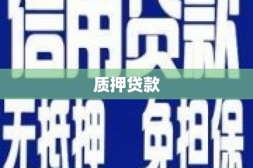 花山质押贷款