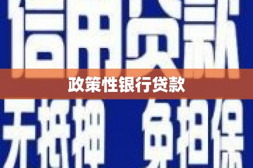 花山政策性银行贷款