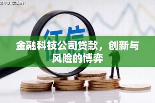花山金融科技公司贷款，创新与风险的博弈