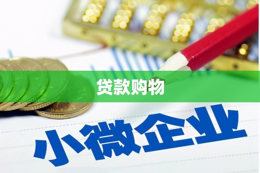 花山贷款购物