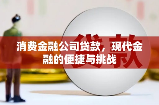 花山消费金融公司贷款，现代金融的便捷与挑战
