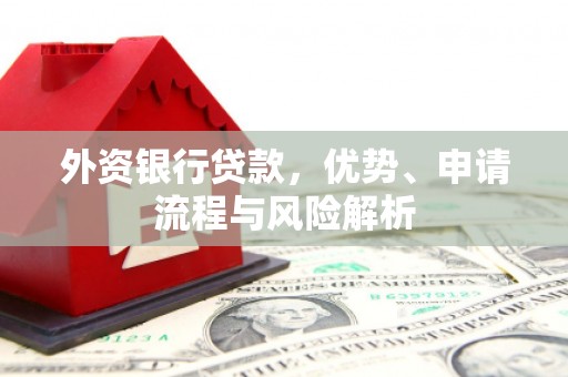 花山外资银行贷款，优势、申请流程与风险解析