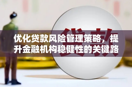 花山优化贷款风险管理策略，提升金融机构稳健性的关键路径