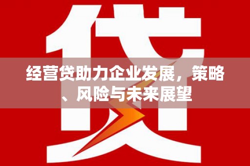 花山经营贷助力企业发展，策略、风险与未来展望