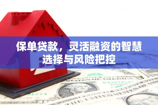 花山保单贷款，灵活融资的智慧选择与风险把控