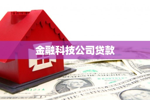 花山金融科技公司贷款