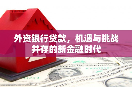 花山外资银行贷款，机遇与挑战并存的新金融时代