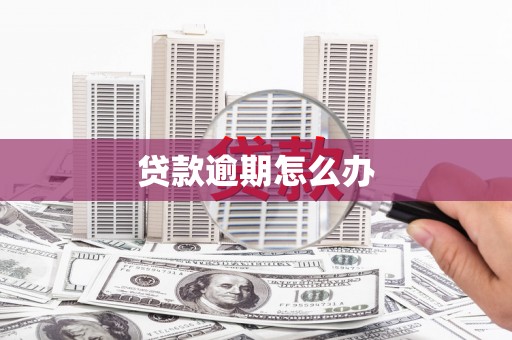 花山贷款逾期怎么办