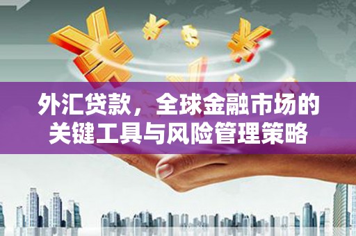花山外汇贷款，全球金融市场的关键工具与风险管理策略