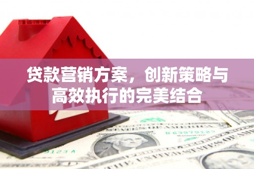 花山贷款营销方案，创新策略与高效执行的完美结合