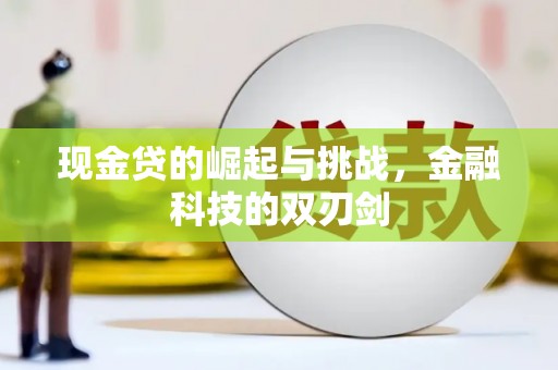 花山现金贷的崛起与挑战，金融科技的双刃剑