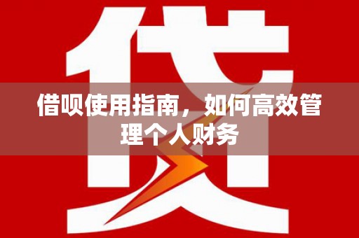 花山借呗使用指南，如何高效管理个人财务