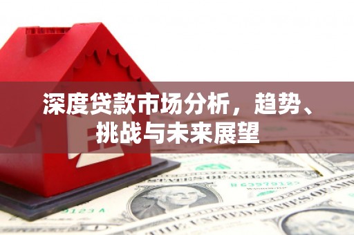花山深度贷款市场分析，趋势、挑战与未来展望