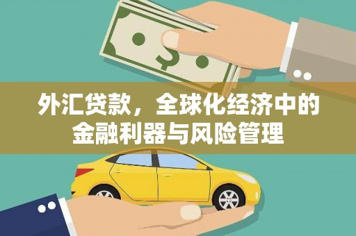 花山外汇贷款，全球化经济中的金融利器与风险管理