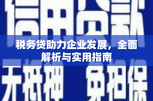 花山税务贷助力企业发展，全面解析与实用指南