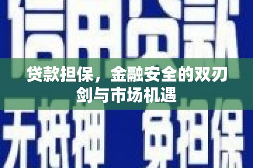花山贷款担保，金融安全的双刃剑与市场机遇