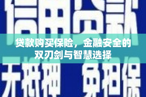 花山贷款购买保险，金融安全的双刃剑与智慧选择