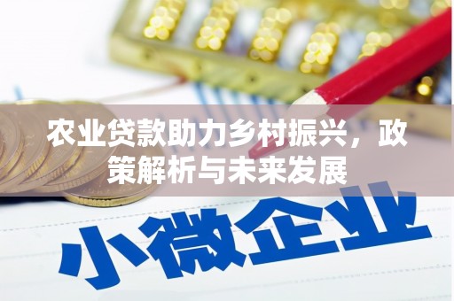 花山农业贷款助力乡村振兴，政策解析与未来发展
