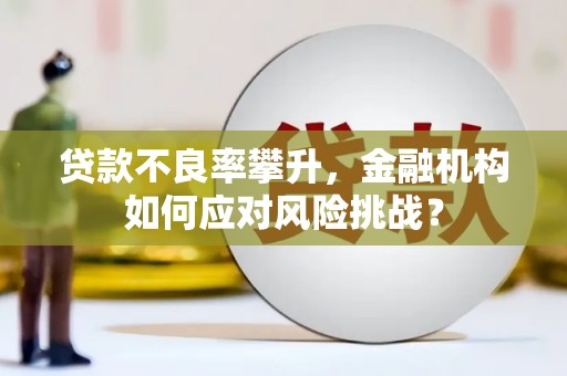 花山贷款不良率攀升，金融机构如何应对风险挑战？