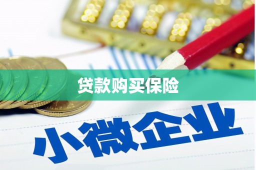 花山贷款购买保险