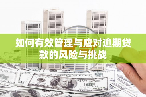 花山如何有效管理与应对逾期贷款的风险与挑战