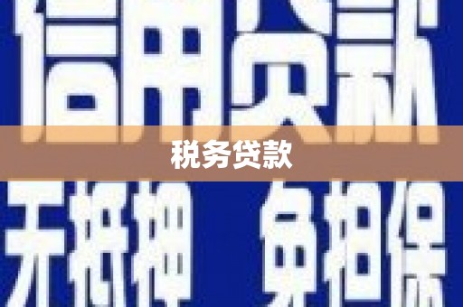 花山税务贷款