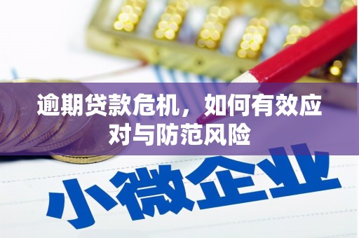 花山逾期贷款危机，如何有效应对与防范风险