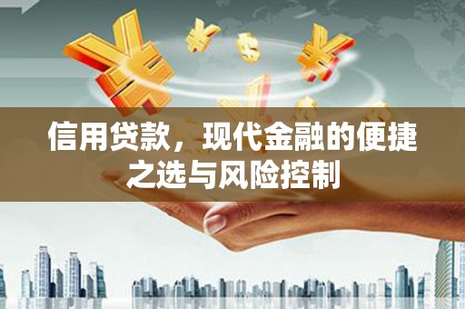 花山信用贷款，现代金融的便捷之选与风险控制