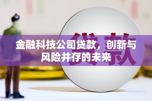 花山金融科技公司贷款，创新与风险并存的未来