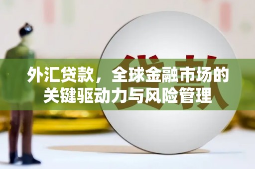 花山外汇贷款，全球金融市场的关键驱动力与风险管理