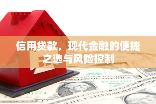 花山信用贷款，现代金融的便捷之选与风险控制