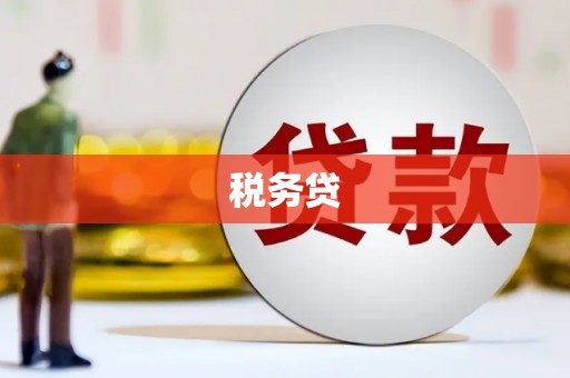 花山税务贷