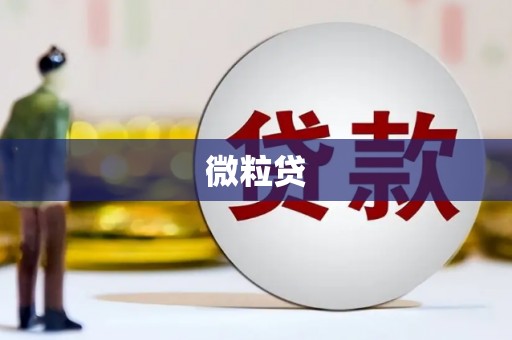 花山微粒贷