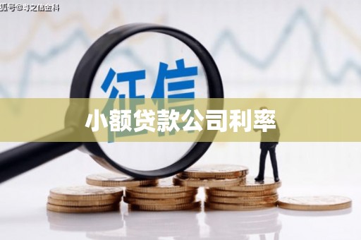 花山小额贷款公司利率