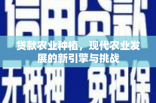 花山贷款农业种植，现代农业发展的新引擎与挑战