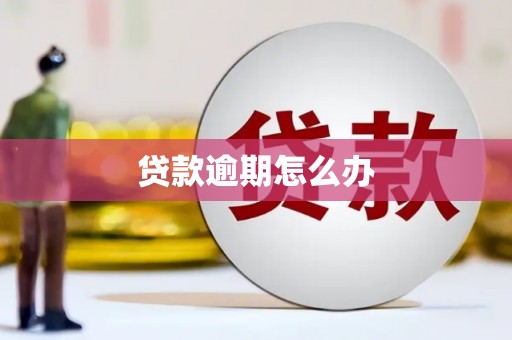 花山贷款逾期怎么办