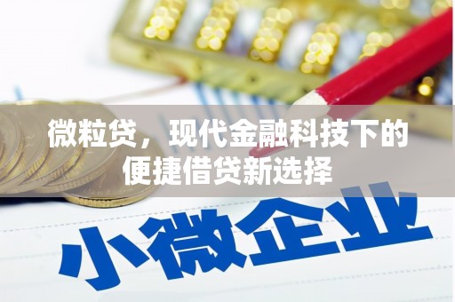 花山微粒贷，现代金融科技下的便捷借贷新选择