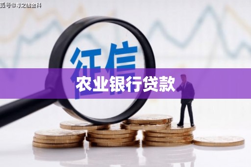 花山农业银行贷款