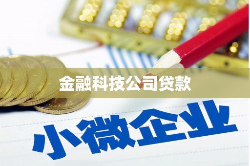 花山金融科技公司贷款