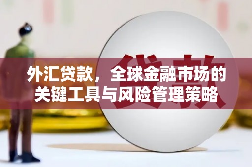 花山外汇贷款，全球金融市场的关键工具与风险管理策略