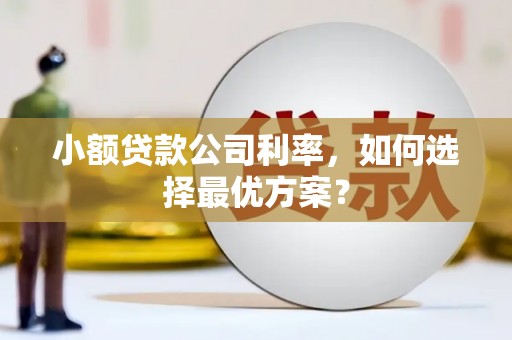 花山小额贷款公司利率，如何选择最优方案？