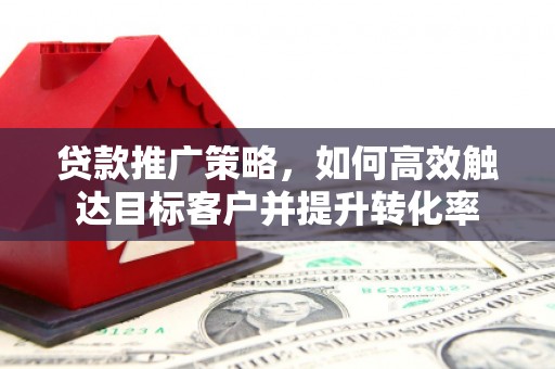 花山贷款推广策略，如何高效触达目标客户并提升转化率