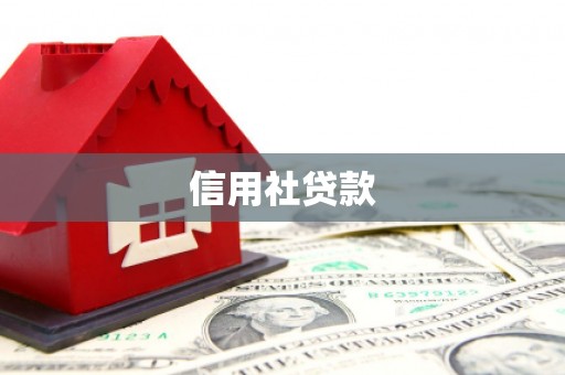 花山信用社贷款