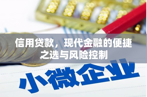 花山信用贷款，现代金融的便捷之选与风险控制