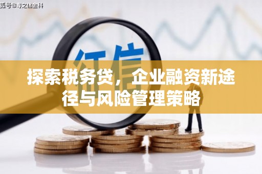 花山探索税务贷，企业融资新途径与风险管理策略